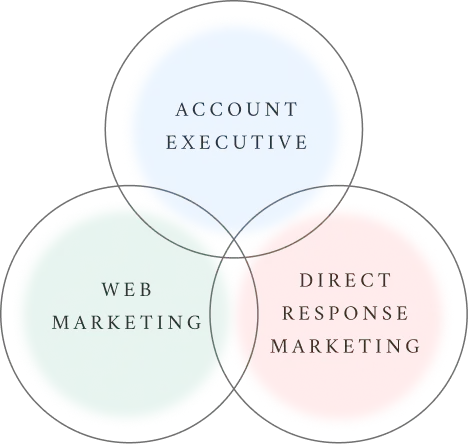 ACCOUNT EXECUTIVE WEB MARKETING DIRECT RESPONSE MARKETING